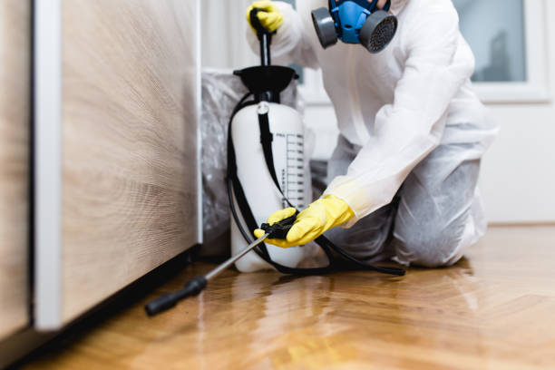 Best Pest Prevention Services  in Laramie, WY