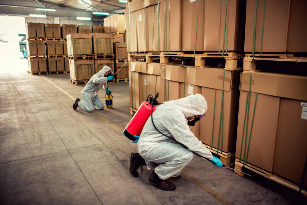 Pest Prevention Services in Laramie, WY