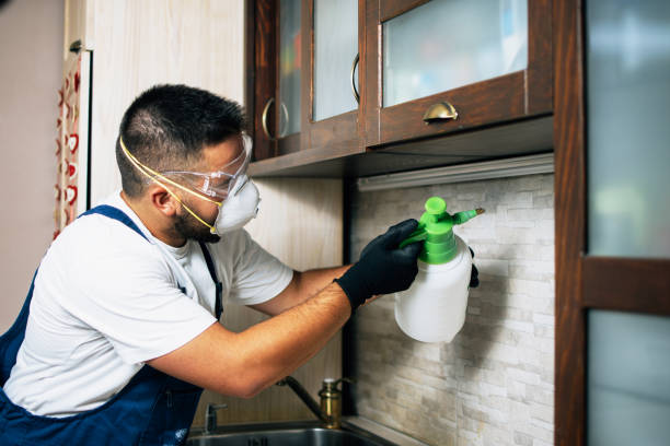 Best Pest Control Treatment  in Laramie, WY