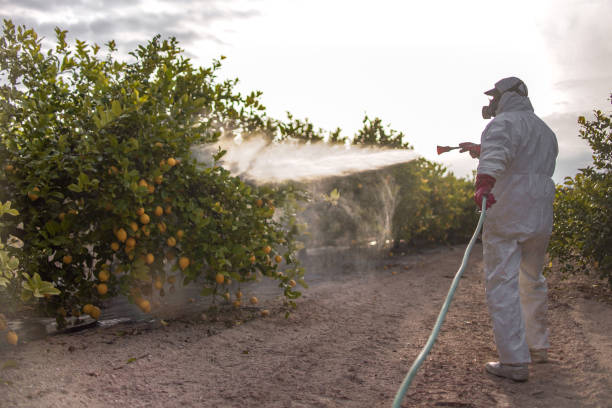 Best Exterminator Services  in Laramie, WY