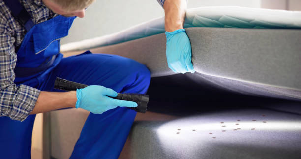 Best Pest Control Near Me  in Laramie, WY
