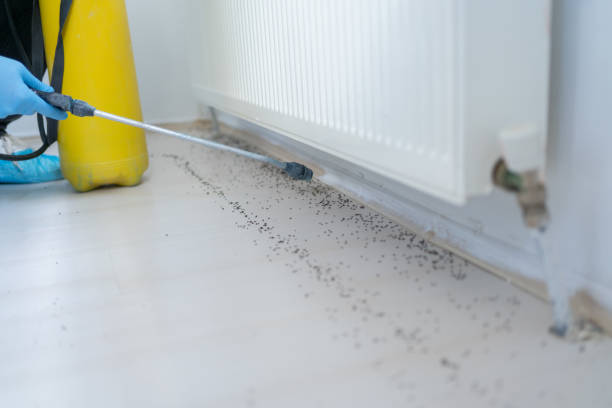 Best Best Pest Control Companies  in Laramie, WY